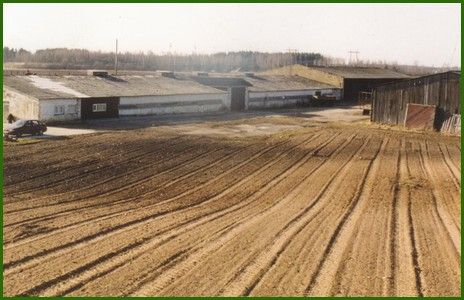 Baltijas Dārzeņi strādājuši ar zaudējumiem