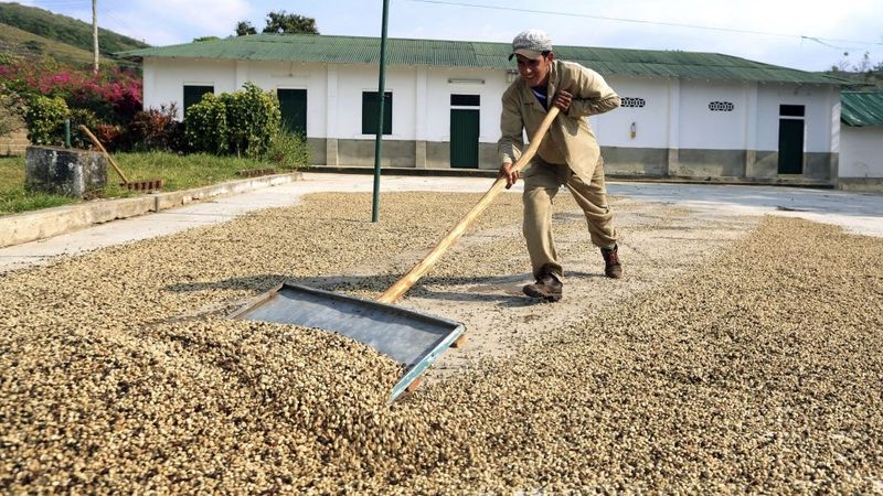Kafijas cena šogad augusi jau par 71%; paredz arī turpmāku sadārdzināšanos