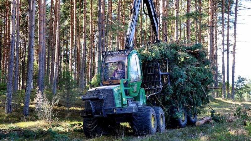 Krauzers veidos jaunu kokzāģētavu