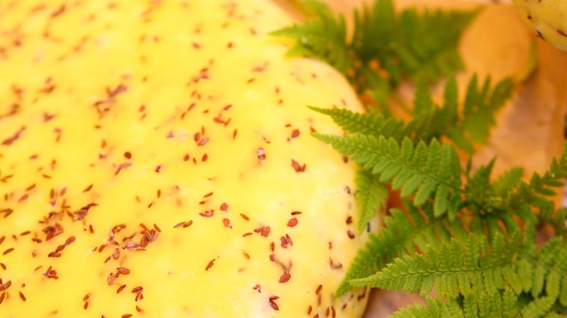 Jāņu sieru piesaka iekļaušanai ES Garantēto tradicionālo īpatnību reģistrā