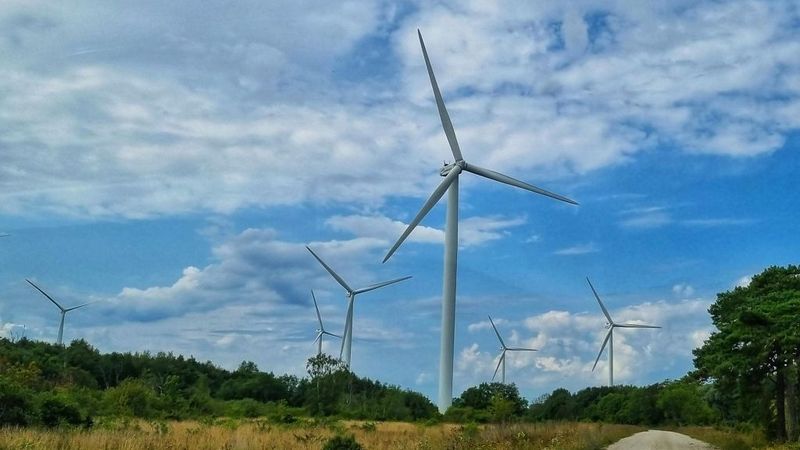 Enefit Green Igaunijā sāks būvēt Baltijas valstīs lielāko vēja parku