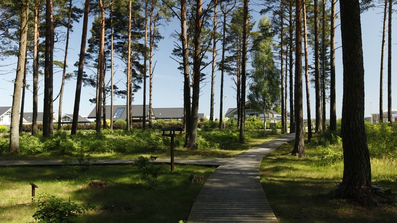 Salienas mežaparkā ieguldīs 300 000 eiro