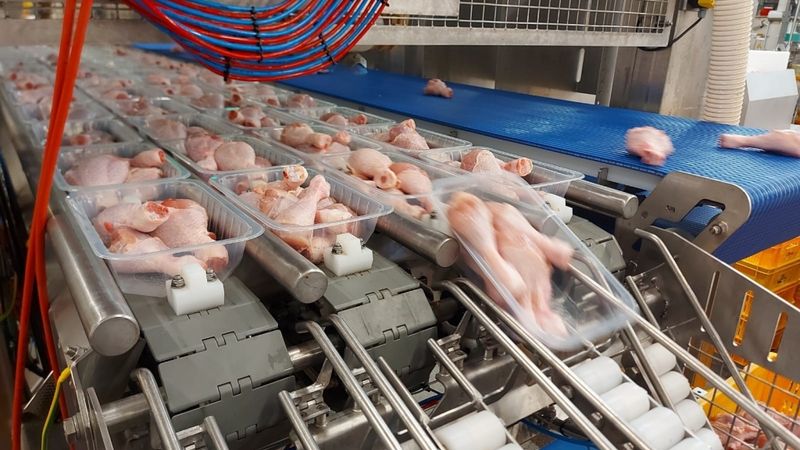 Putnu fabrika Ķekava ražošanā sāk izmantot robotus