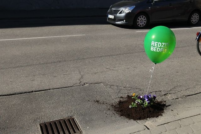 Ielu bedrēs atkal uzzied atraitnītes