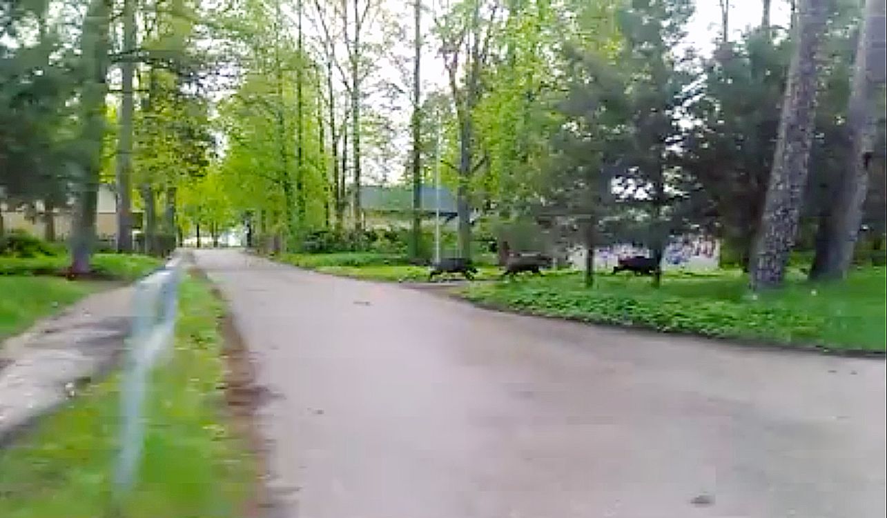 Ekrānšāviņš no video