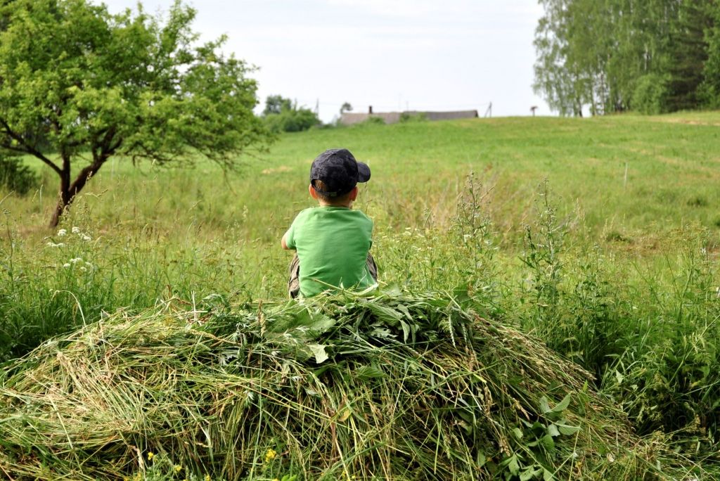 Foto: Ivars Soikāns/LETA