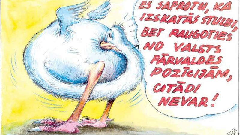 DB karikatūra: Ja nemākulīgi strādā, nav vainīgs darbarīks