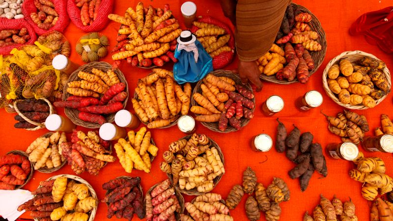Tupeņi savā dzimtenē Peru
