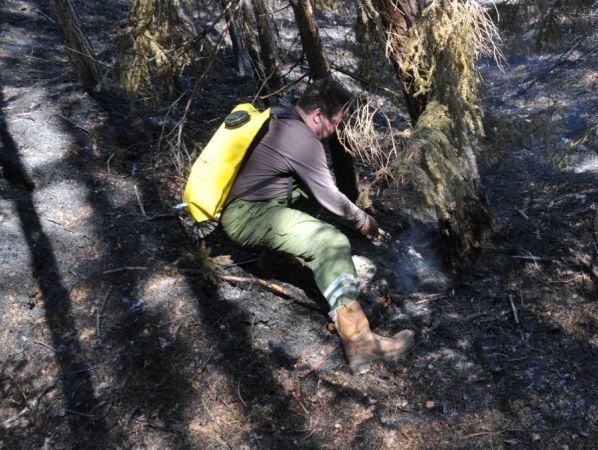 Papes dabas parka aizdedzināšanā, visticamāk, vainojami tūristi