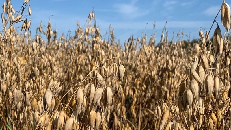 Jāsāk pārorientēties uz bioloģisku lauksaimniecību