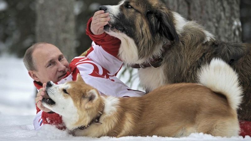 Putins pasaulei demonstrē sniega rotaļas ar suņiem