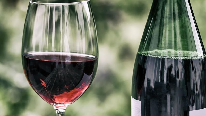 Latvijas vīndaru svētki Straupes Zirgu pastā