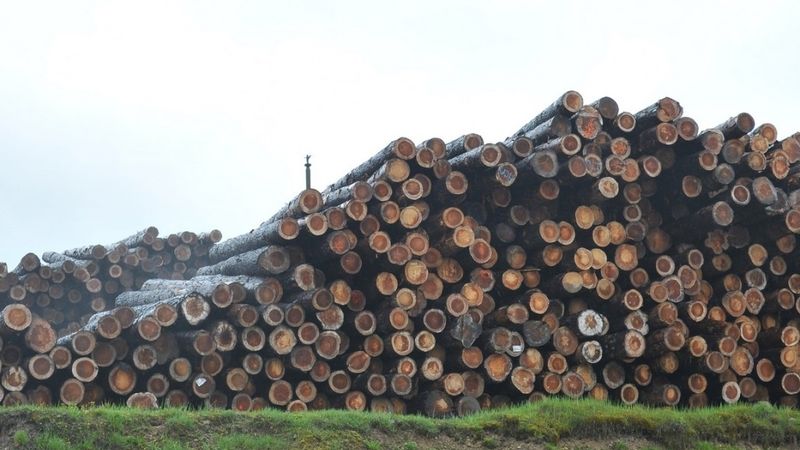 Vika Wood modernizē ražošanu, ieguldot vairāk nekā 11 miljonus eiro