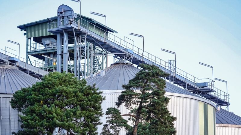Bio-Venta plāno dubultot rapšu sēklu pārstrādes jaudas