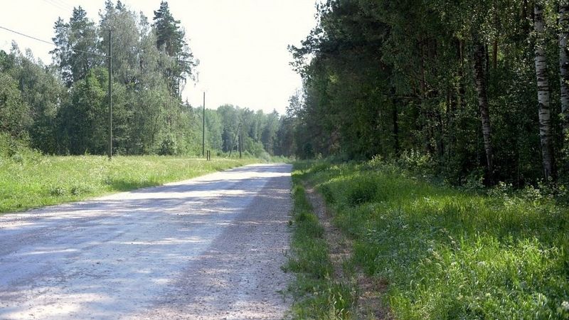 Vides dienests pārmet Biolaram vilcināšanos sakopt Zemgalē piesārņotās ceļmalas