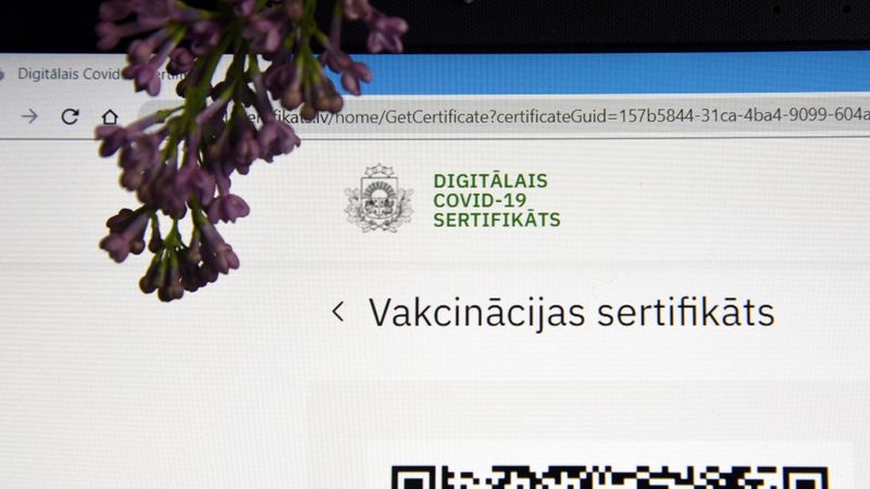 Par pakalpojumu pieejamību valdība varētu lemt ceturtdien