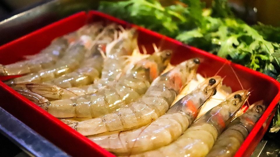 Plāno ieguldīt četrus miljonus eiro tropisko garneļu audzētavā