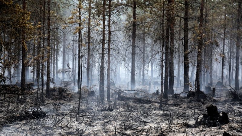 Jau trešo dienu turpina dzēst meža un kūdras ugunsgrēku Valdgales pagastā