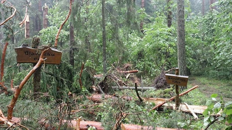 Vētrā stipri cietis Tērvetes dabas parks