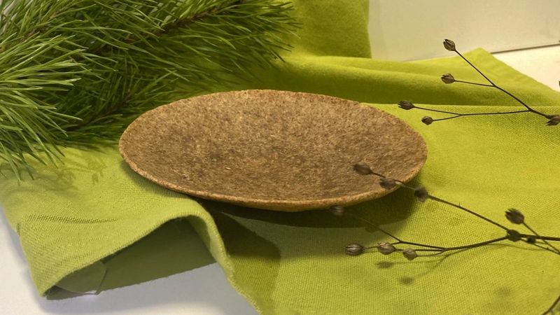 FOTO: Ēdamie trauki, kociņmaciņš un citas jauniešu biznesa idejas