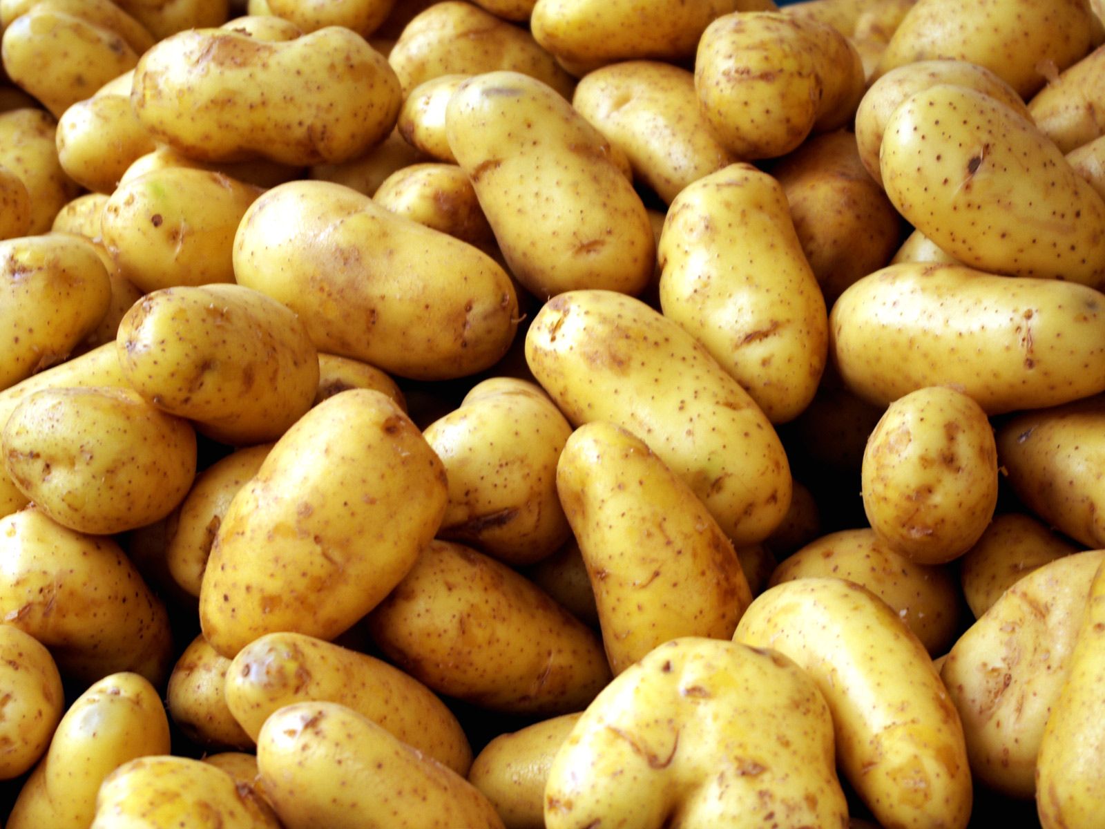 Avots: SXC