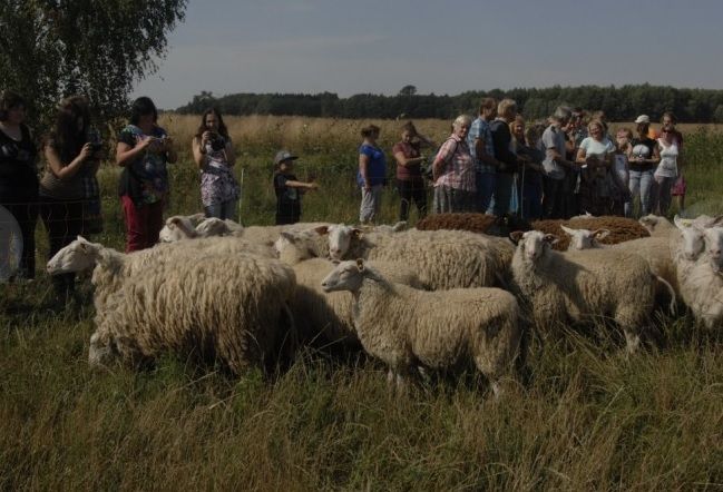 Brunavas piensaimniecībā izmēģina Lietuvā pārbaudītu biznesa virzienu