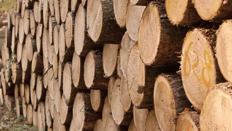 AS Stora Enso Latvija saņems uzņēmumu ienākuma nodokļa atlaidi 4,076 miljonu eiro apmērā