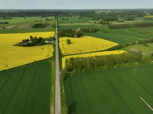 Atņemot naudu ceļiem cietīs tautsaimniecība