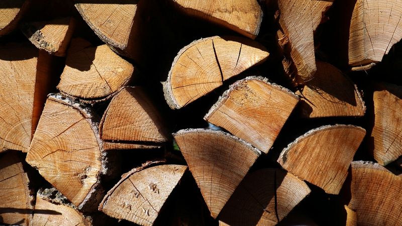 LTRK: Kompensācija par malku, neprasot čeku, stimulēs ēnu ekonomiku