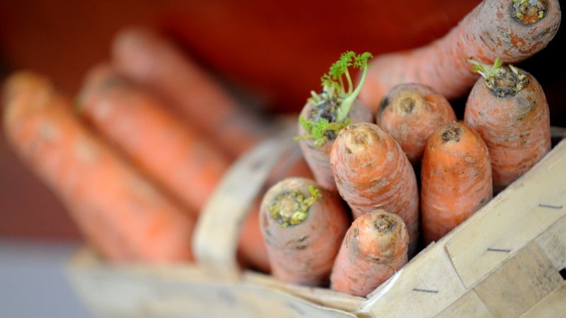Nespēj apmierināt kāri pēc bioproduktiem