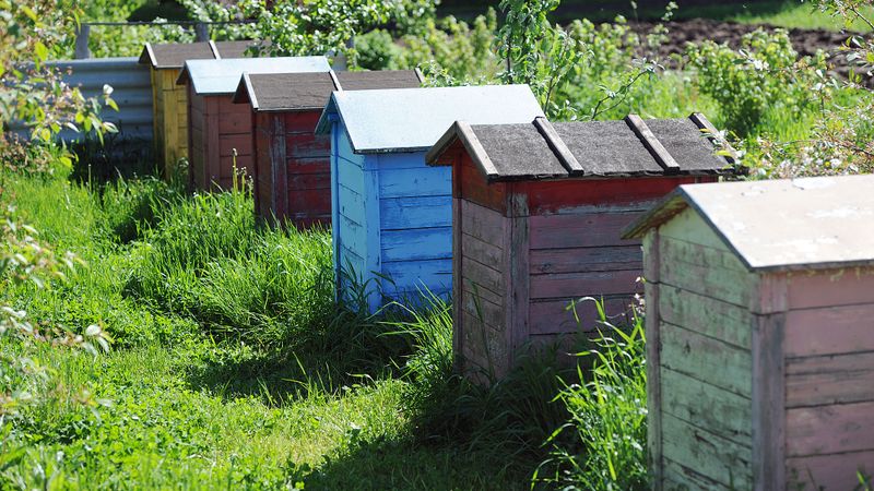 Ne vienmēr izprot bioloģiskās pārtikas ražošanas prasības
