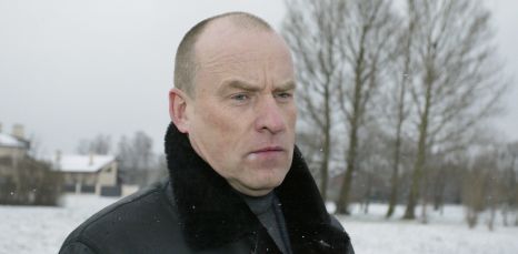 Ritvars Skuja, Dienas Mediji