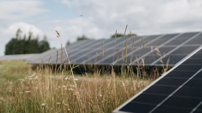 Pirmais Ignitis Renewables saules parks Latvijā uzsāk komercdarbību