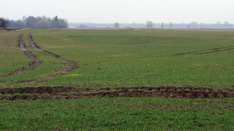 EK: Latvijā noteikumi lauksaimniecības zemes iegādei ir stingrāki nekā vajadzīgs