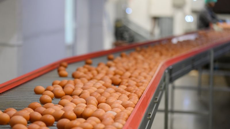 APF Holdings peļņa pērn pārsniegusi pusmiljonu eiro