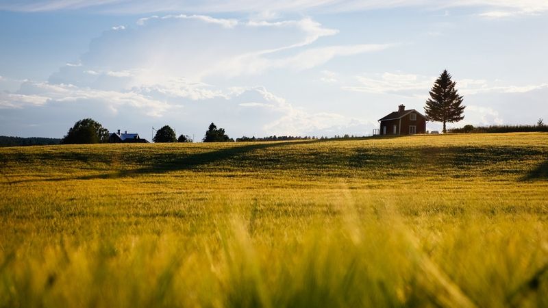 Latvija nav tālu no ārkārtējās situācijas izsludināšanas lauksaimniecībā