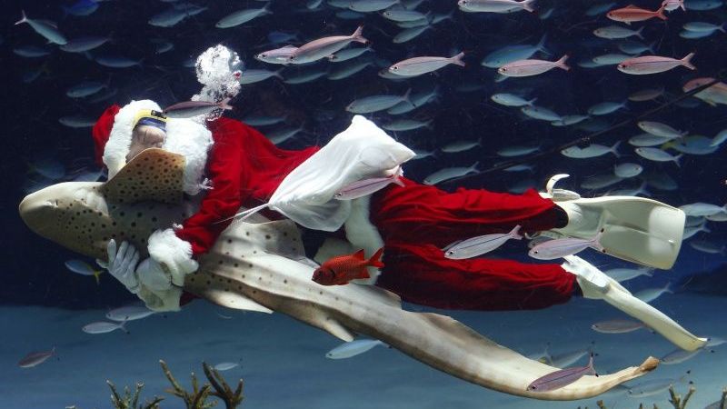 Fotonedēļa: 7. decembris - 13. decembris