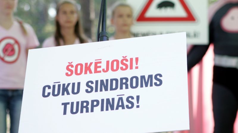Piegružoto ceļmalu sakopšana gadā izmaksā 400 tūkstošus eiro