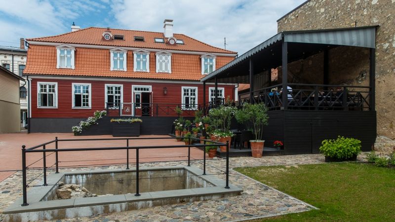 FOTO: Nevis fēnikss, bet vanadziņš