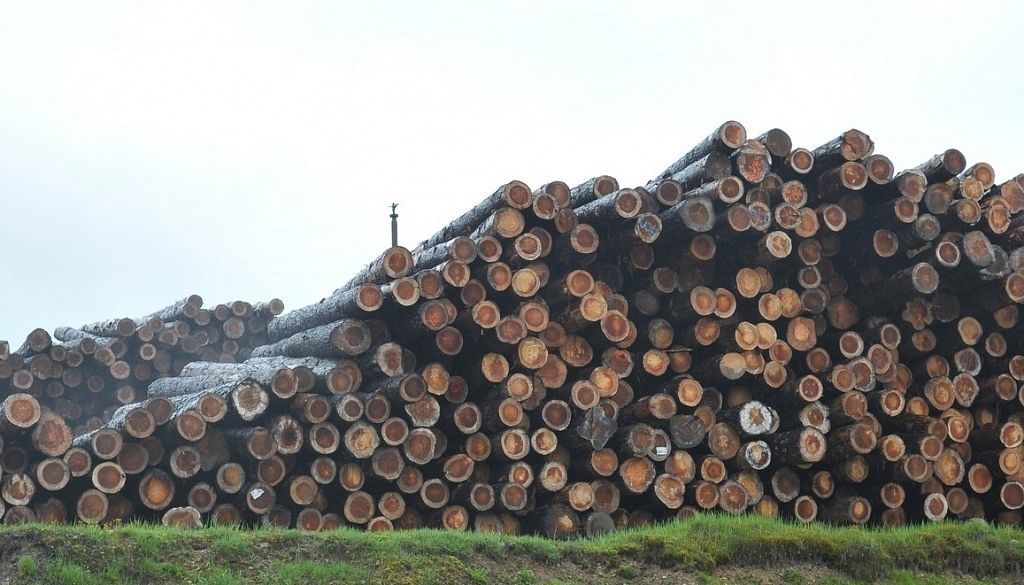 Kokapstrādes uzņēmuma Vika Wood apgrozījums pērn saruka par 6%