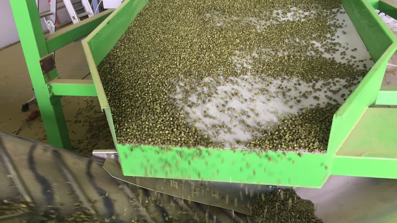Alfa agro  investēs 1,138 miljonus eiro lucernas granulu uzglabāšanas kompleksā