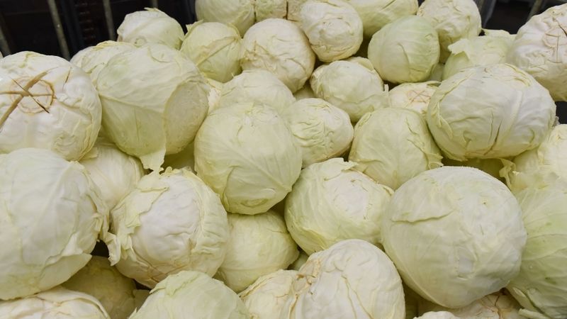 Dimdiņi agro apgrozījums pērn palielinājies par 37,7%