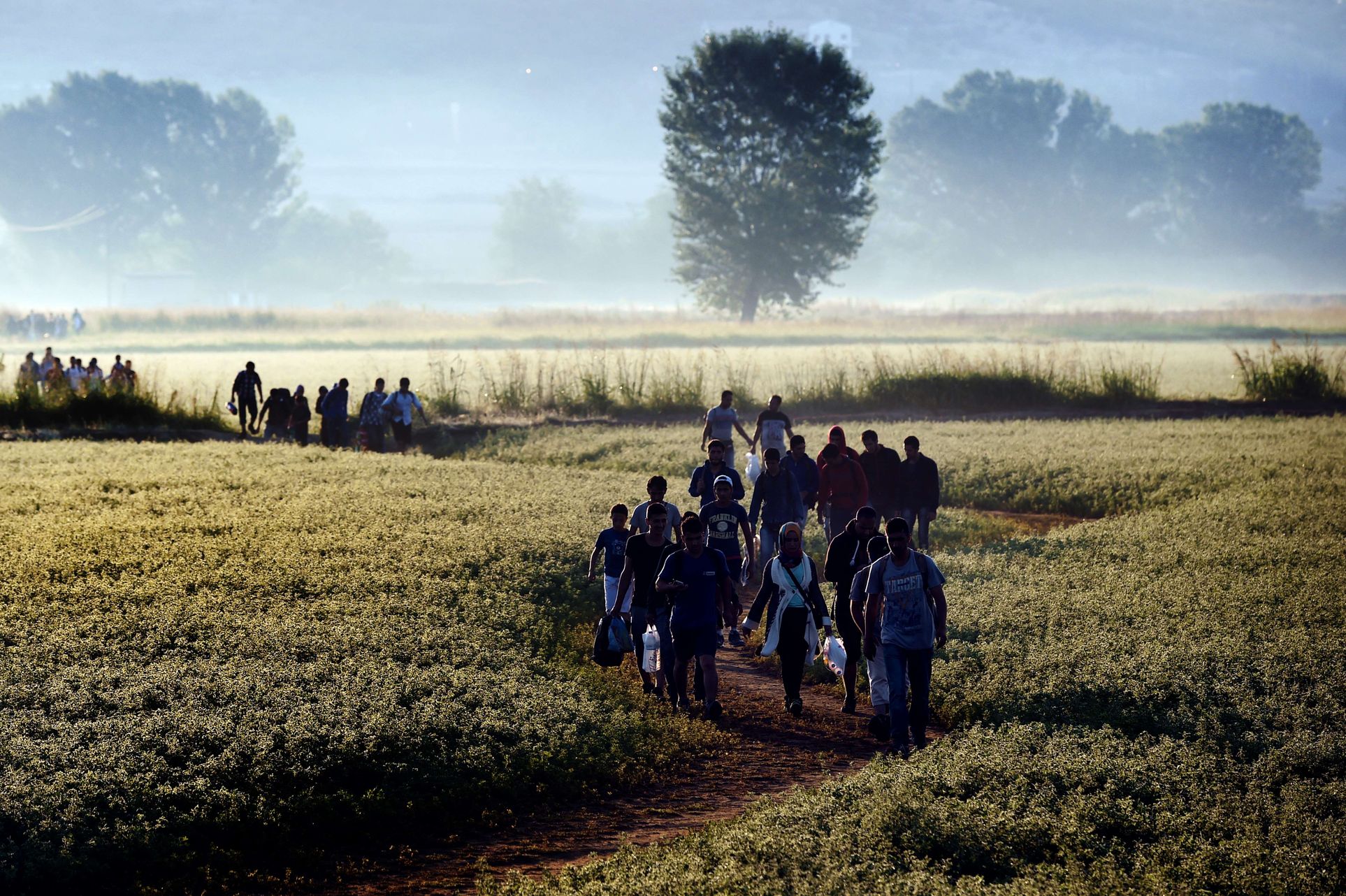 Foto: AFP/LETA