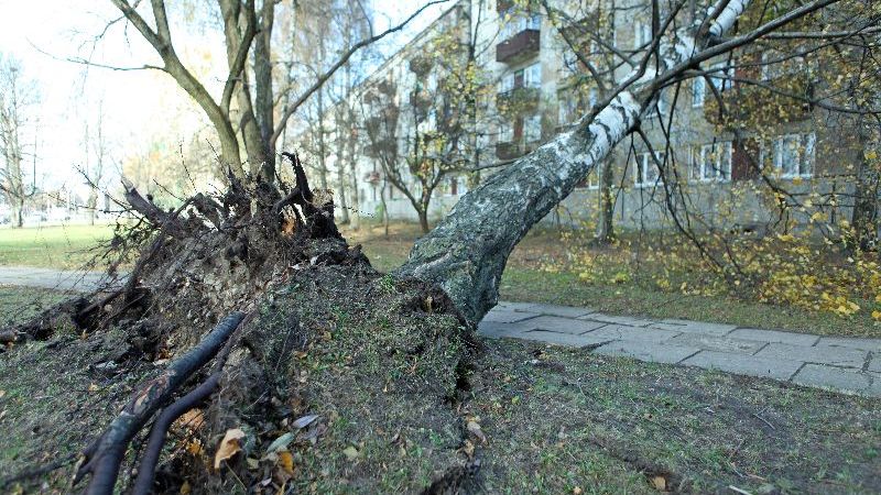 Papildināta - vējš lielākos postījumus nodarījis Ziemeļatvijā un Piejūras reģionā