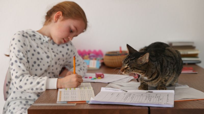 Fotonedēļa: 14.marts - 20.marts