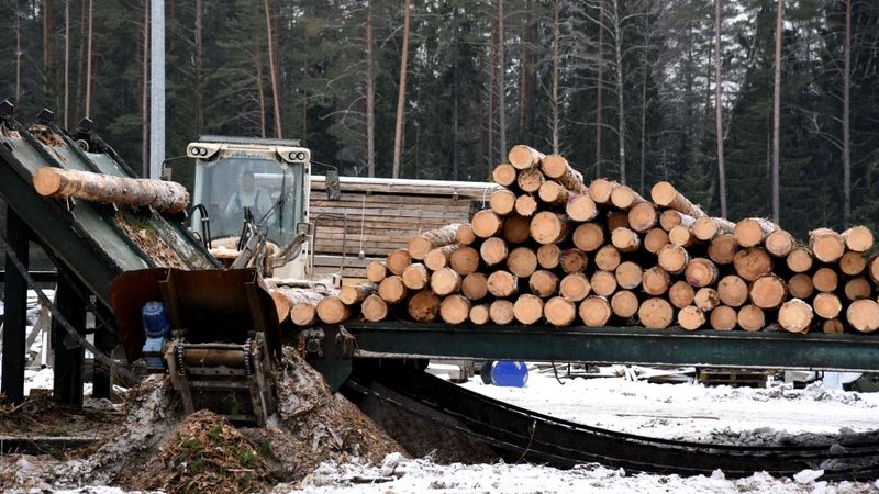Šogad īpaši vētīs kokapstrādes uzņēmumus