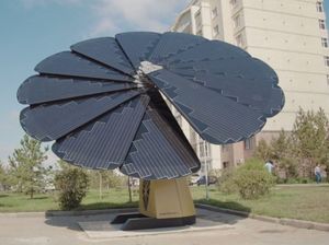 VIDEO: Viedās puķes apgādā mājokļus ar elektrību