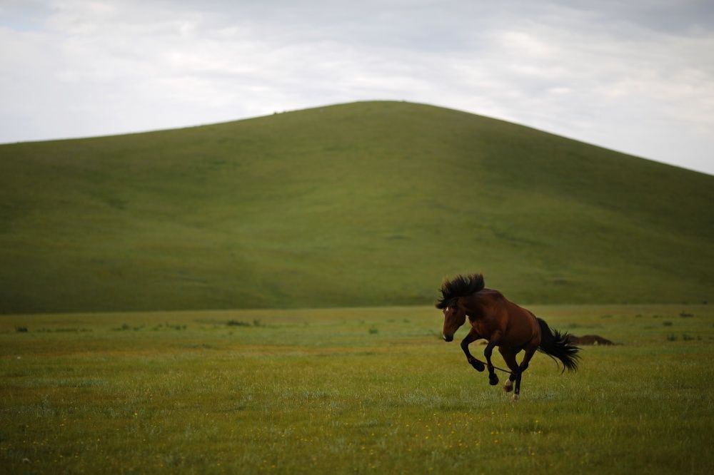 Foto: REUTERS/SCANPIX