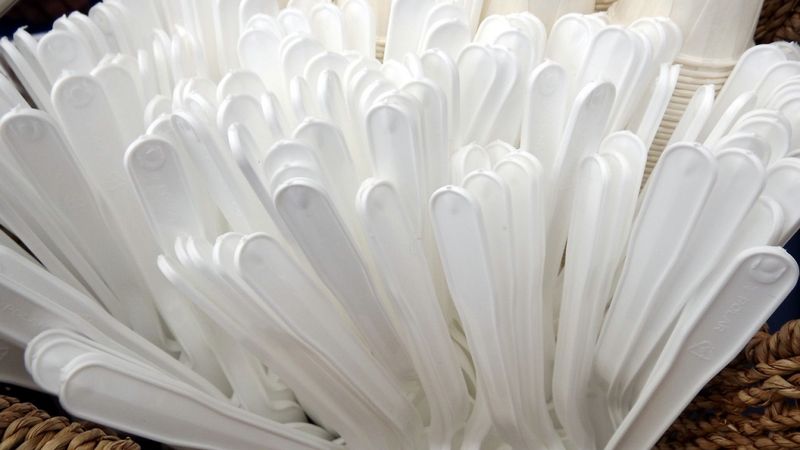 Lietuvā aizliegs bezmaksas vienreizlietojamos plastmasas traukus