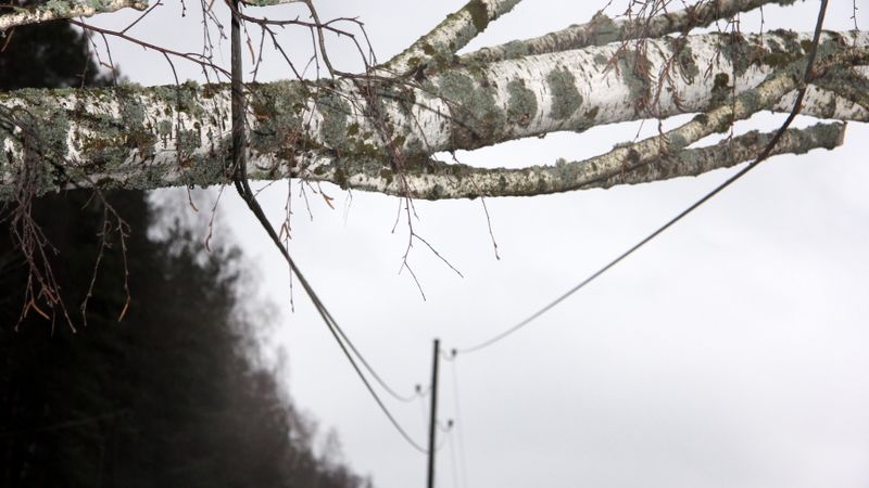 Papildināta - Latgalē elektroapgādes traucējumi pieciem tūkstošiem; sagaida situācijas pasliktināšanos